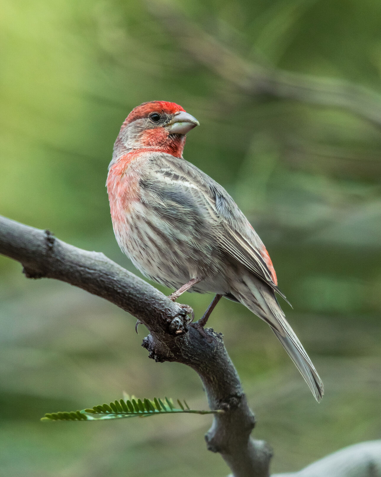 2022 Nature Adventure Photo Contest